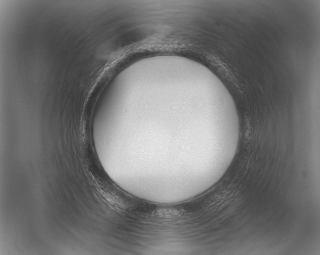 X0000052960636200507300112