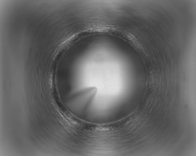 X0000052960640200507300112