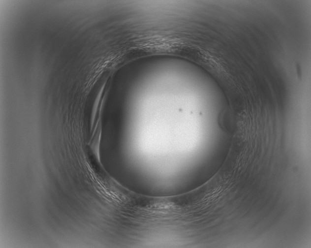 X0000052960642200507300112