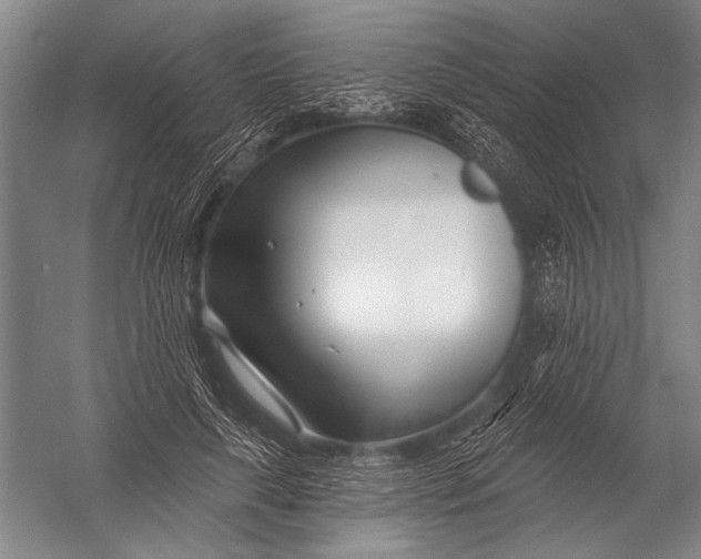 X0000052960643200507300112