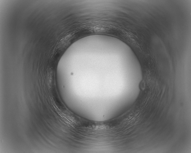 X0000052960645200507300112