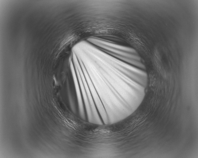 X0000052960648200507300112