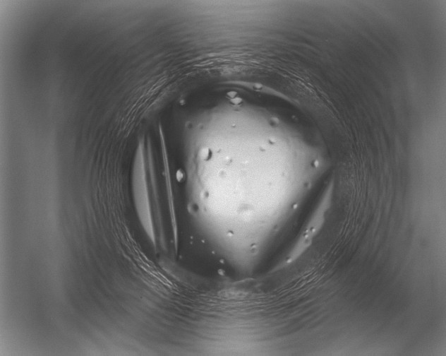 X0000052960650200507300112