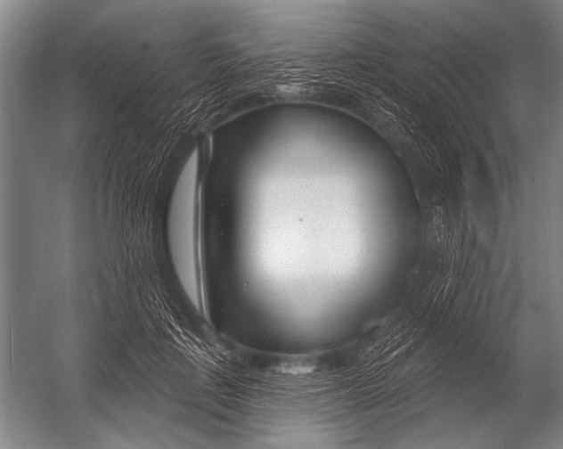 X0000052960651200507300112