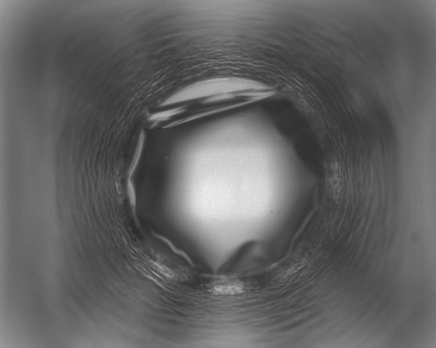 X0000052960653200507300112