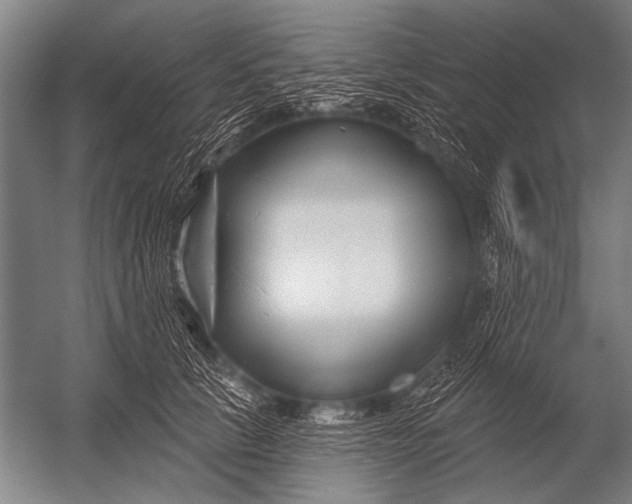 X0000052960657200507300112