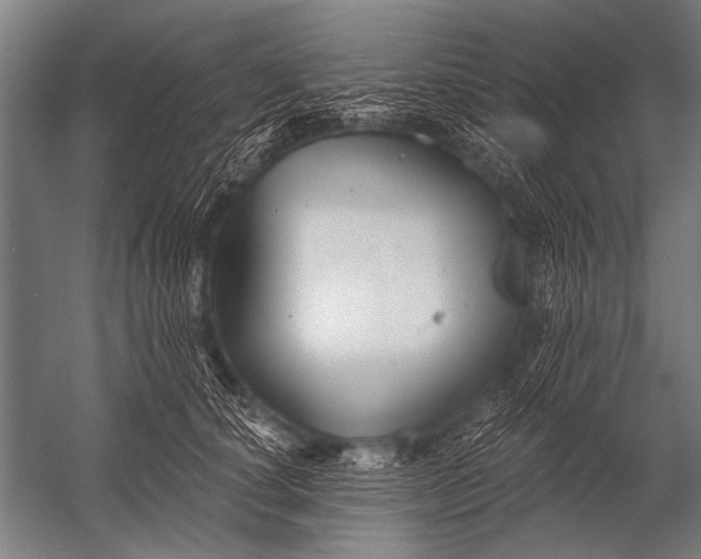 X0000052960660200507300112