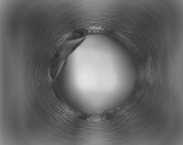X0000052960661200507300112