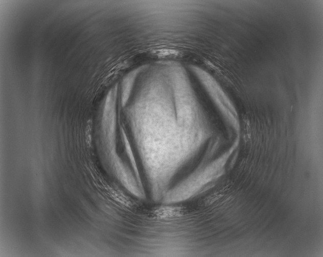 X0000052960664200507300112