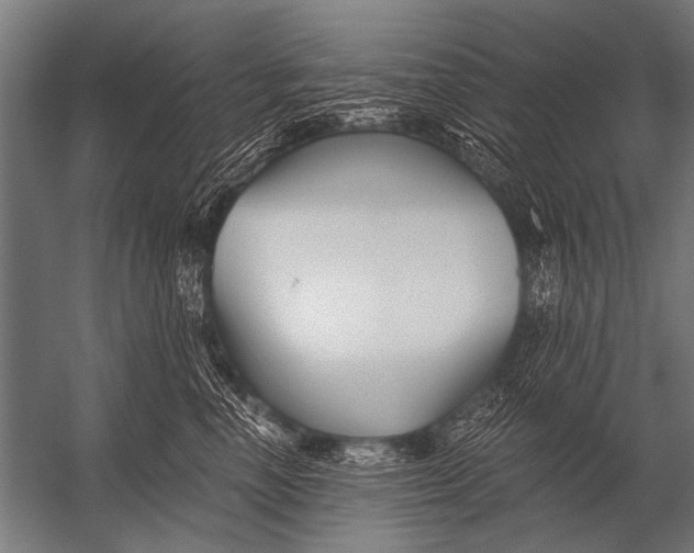 X0000052960666200507300113