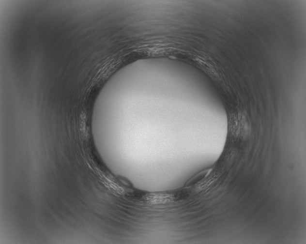 X0000052960670200507300113