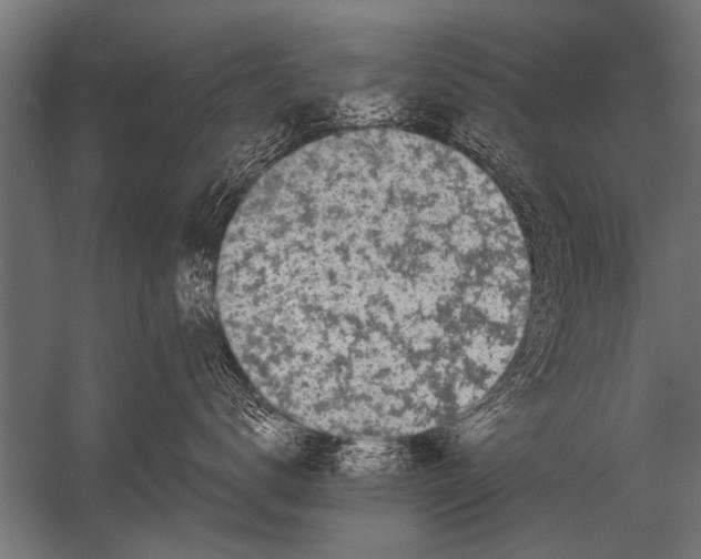 X0000052960672200507300113