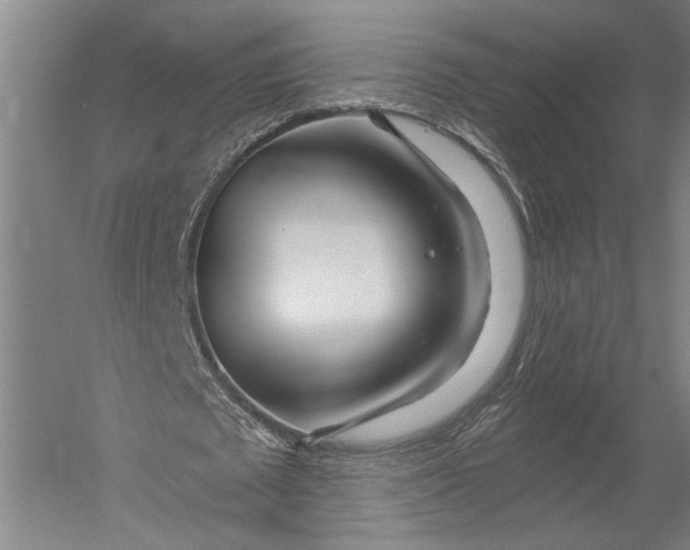 X0000052960673200507300112