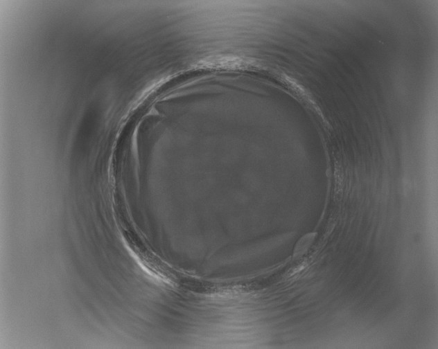 X0000052960674200507300112