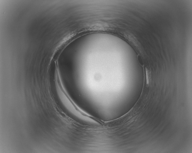 X0000052960675200507300112