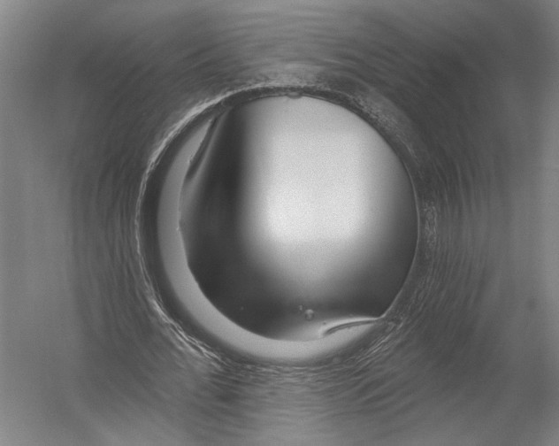 X0000052960676200507300112