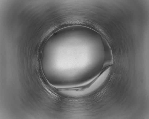 X0000052960677200507300112