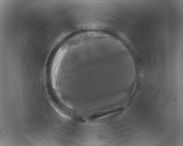 X0000052960678200507300112