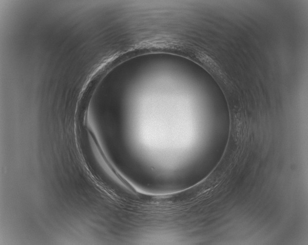 X0000052960680200507300112