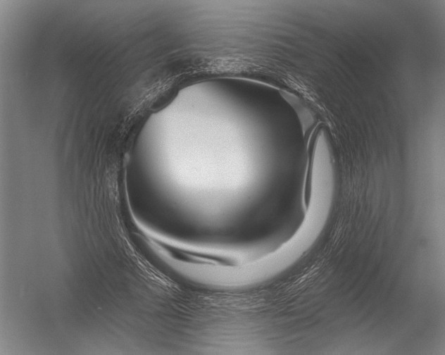 X0000052960681200507300112