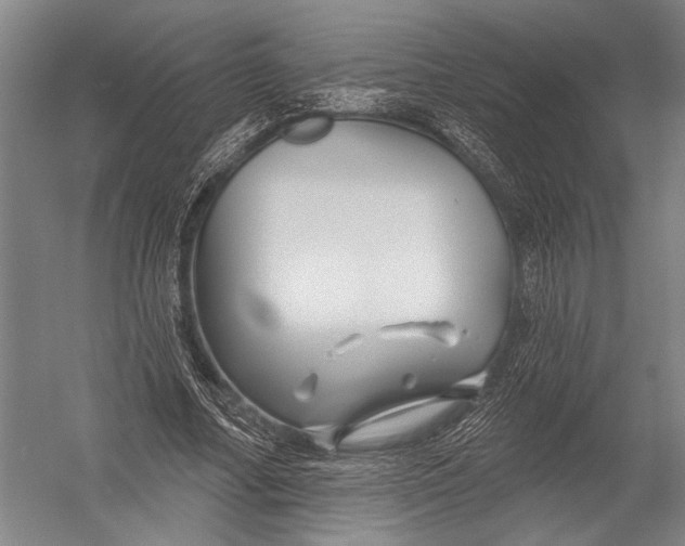 X0000052960682200507300112