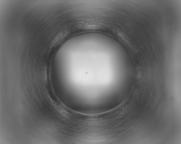 X0000052960685200507300112