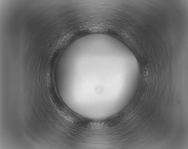 X0000052960690200507300112