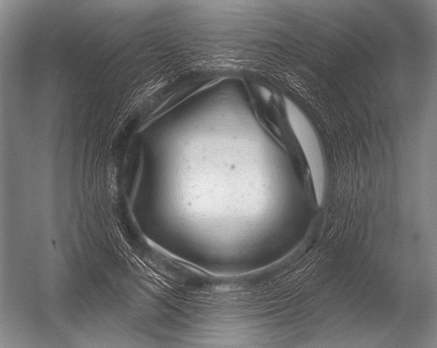 X0000052960692200507300111