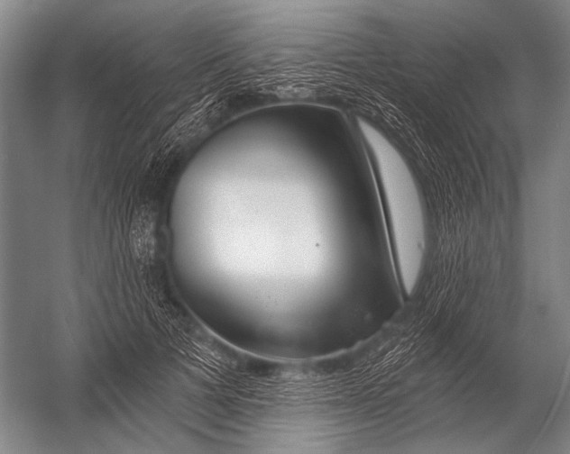 X0000052960697200507300111