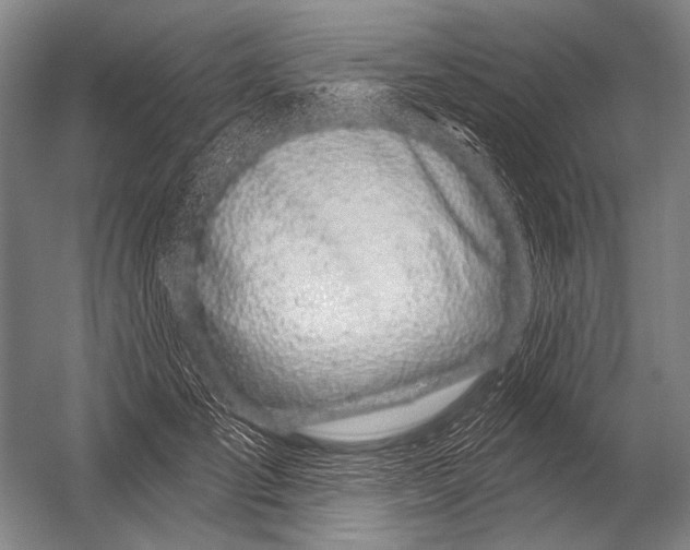 X0000052960701200507300111