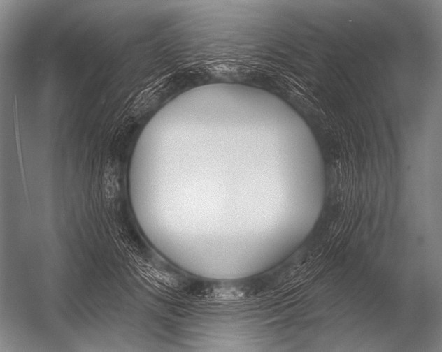 X0000052960702200507300111