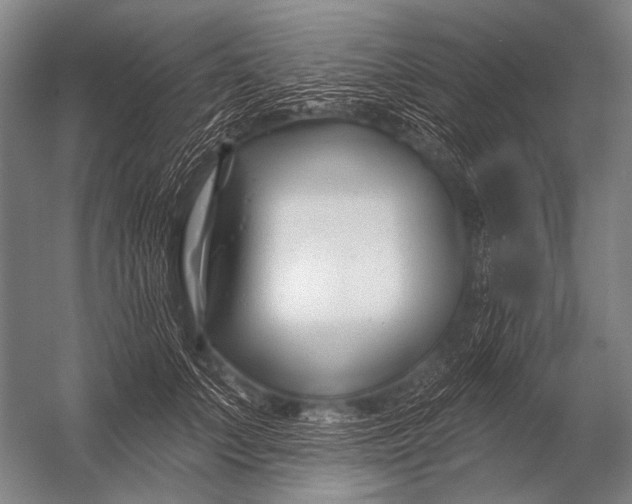 X0000052960703200507300111