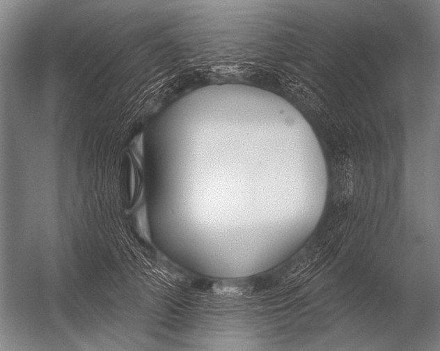 X0000052960706200507300111