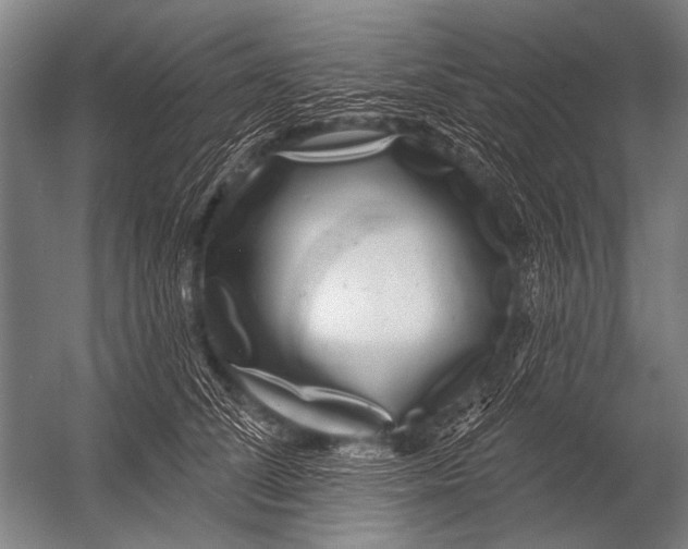 X0000052960708200507300111