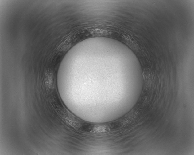 X0000052960709200507300111