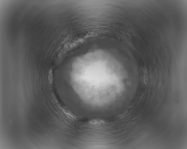 X0000052960712200507300111