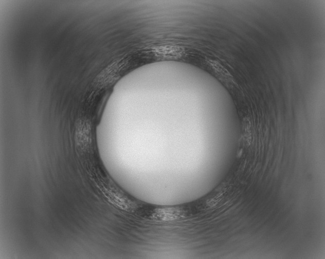 X0000052960713200507300111
