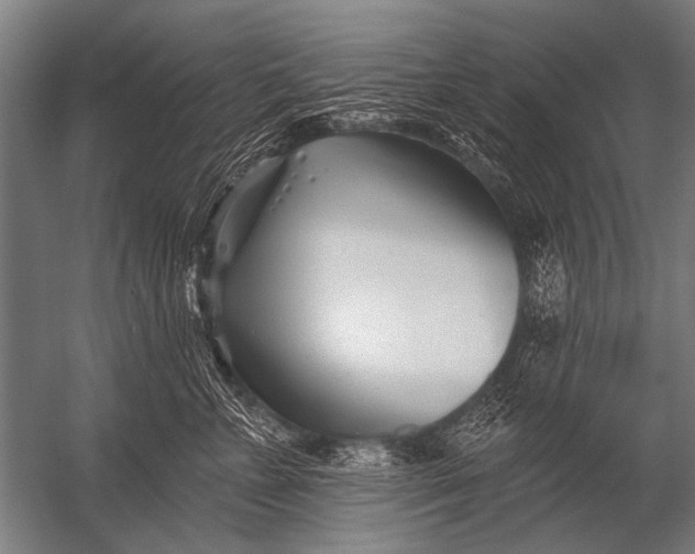 X0000052960715200507300111