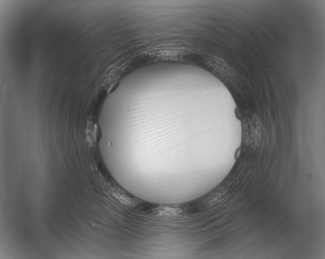 X0000052960718200507300111