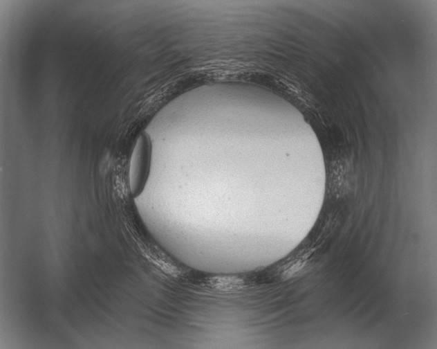 X0000052960719200507300111