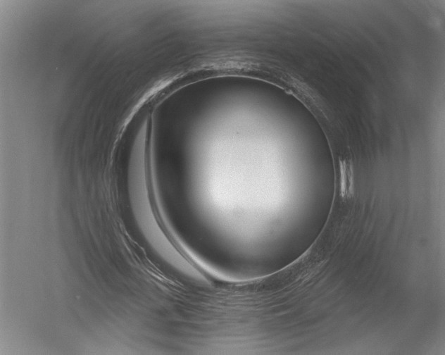 X0000052960723200507300110