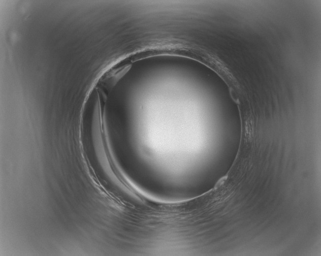 X0000052960724200507300110
