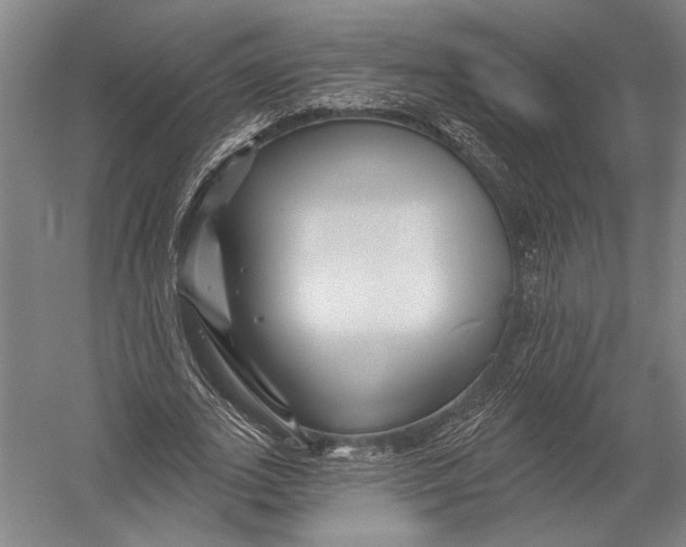 X0000052960727200507300110