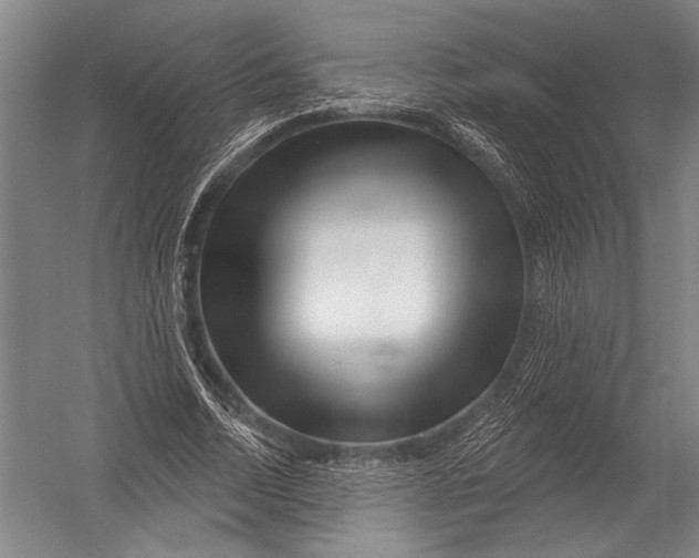 X0000052960730200507300110