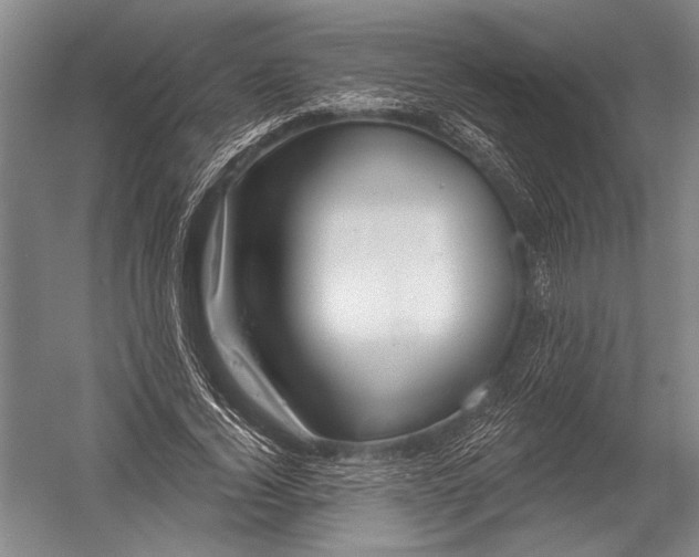 X0000052960732200507300110