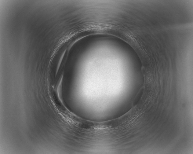 X0000052960736200507300110