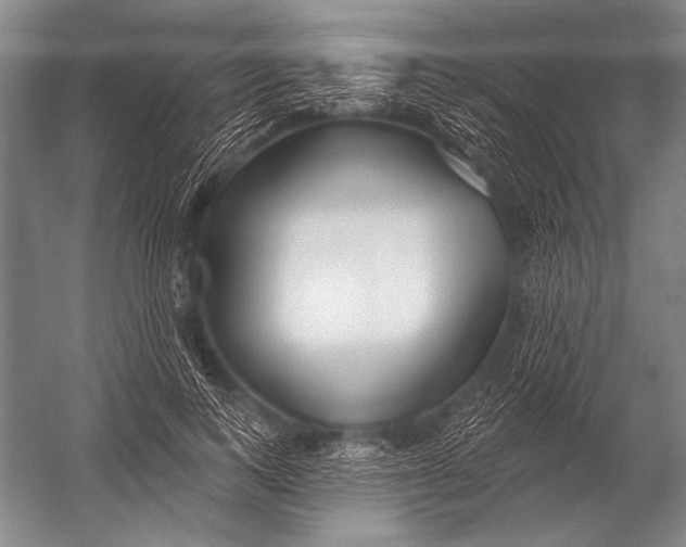 X0000052960743200507300111