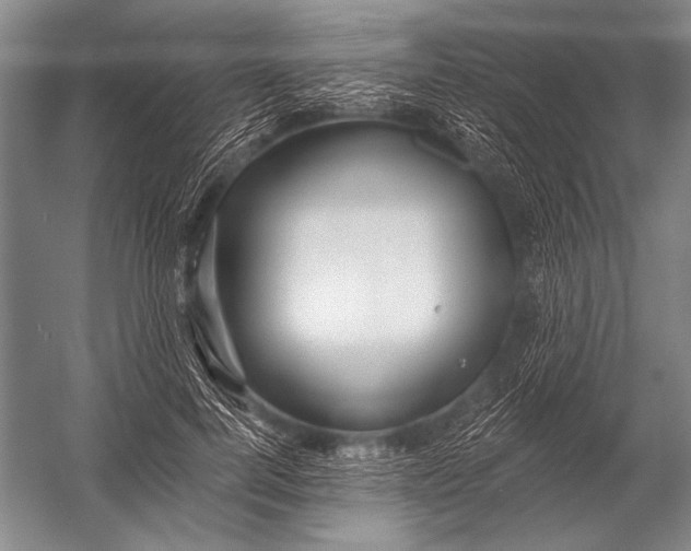 X0000052960744200507300111