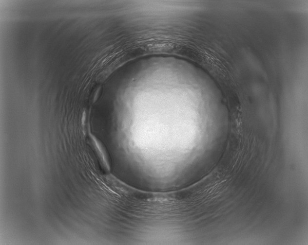 X0000052960745200507300111