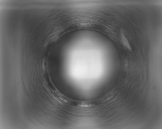 X0000052960746200507300111